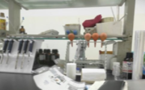 小学实验室工作总结