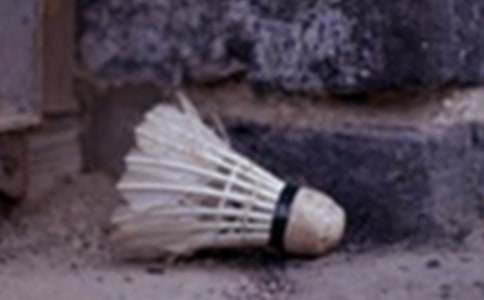 ����ë������Ȧ����˵˵