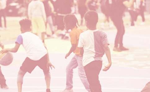 ������Ƽ������