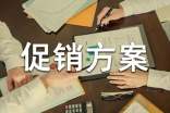 【必备】促销方案3篇