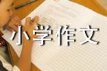 精选小学作文800字汇编7篇