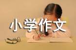 【推荐】小学作文800字汇编10篇