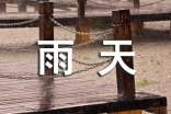 雨天的作文600字3篇(实用)