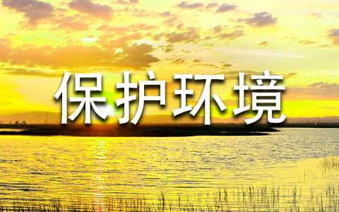 ���ڱ����������꼶����3ƪ