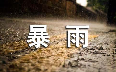 暴雨应急预案范文【锦集11篇】
