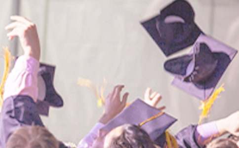 ��ҵ������������