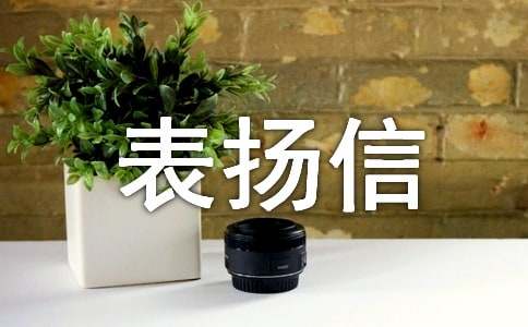 �����Ÿ�ʽ