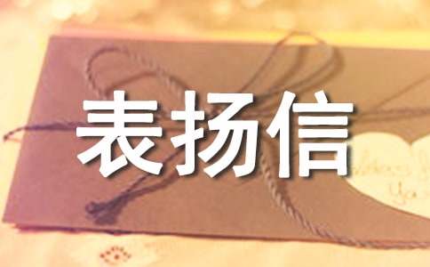 ��๤�����Ż��15ƪ