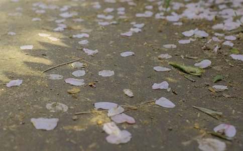 ���±�����������Ӧ��Ԥ��