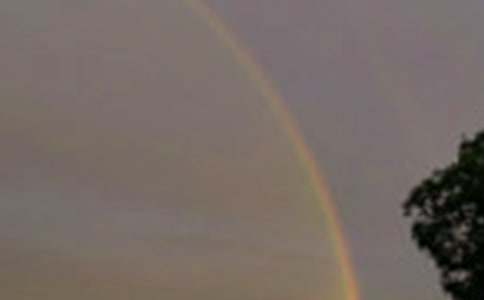 �꼾�Ĳʺ�����800��