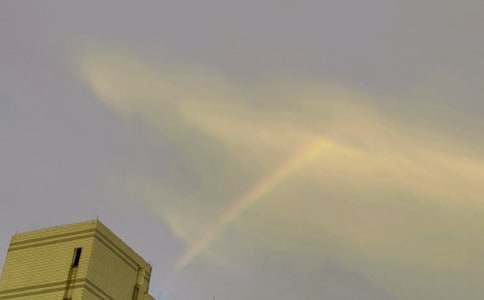 ���꼶�ʺ�����