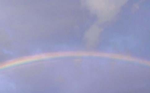 �ʺ�����600��3ƪ[��]