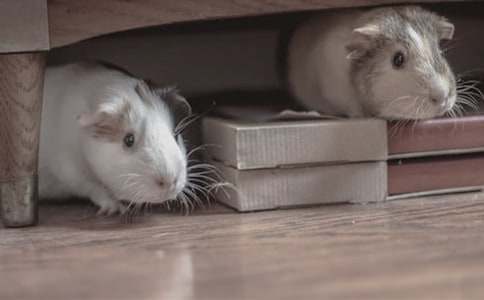 С������������700��