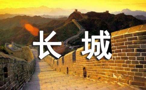 �����μǵ�����