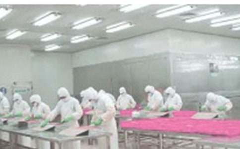 车间安全总结报告通用