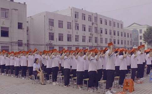 ʮ������������