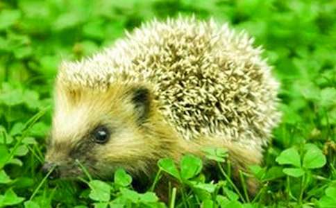 С�������800��