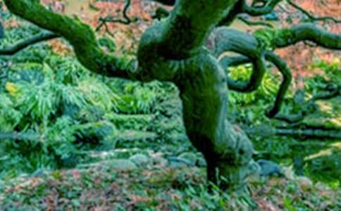 �����еĴ�������600��