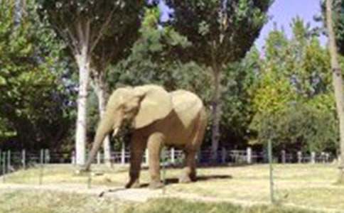 �������������