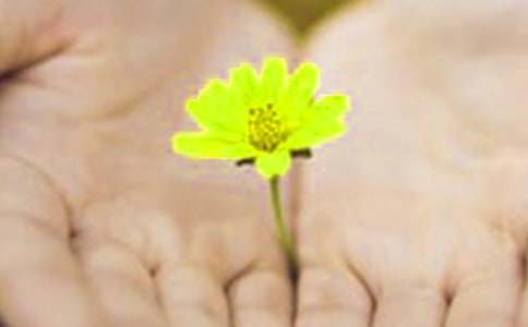 ���˵�Ǹ�š��Ƽ���