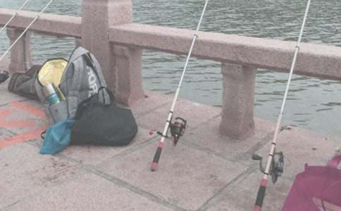 ��ѡСè���������300�ֻ��ܰ�ƪ