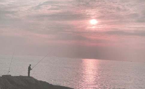 ʵ�õ�Сè���������300����ƪ