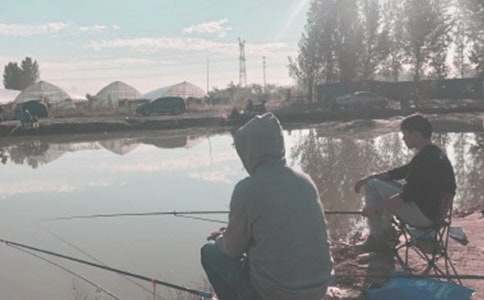 Сè���������300�ֻ��8ƪ