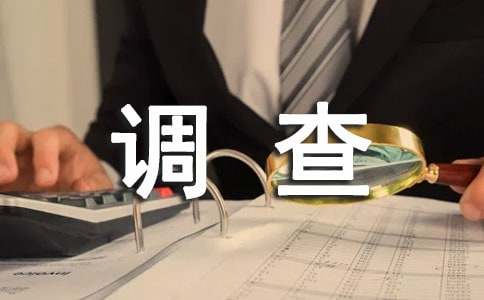 �����ĵ��鱨��