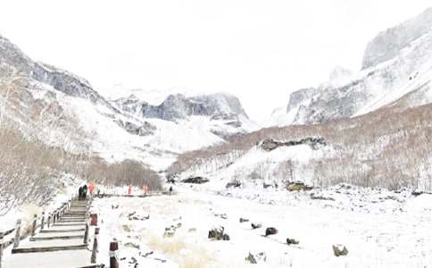 ������ѩӦ��Ԥ��