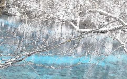 ��ҵ����ɨѩ��Ӧ��Ԥ��