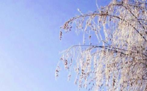 有关冬天五年级作文300字锦集10篇