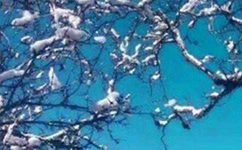 �����������꼶�������Ľ���ʮƪ