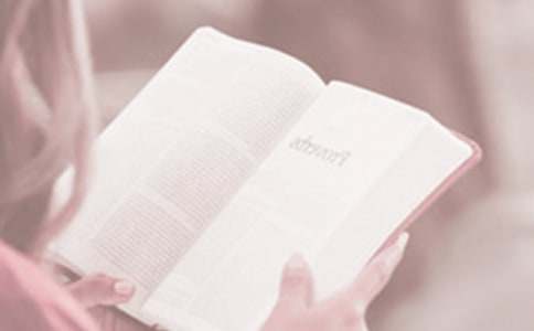 ��������Ʒ���