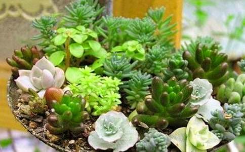 ��������600��6ƪ����ѡ��