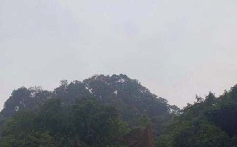 ��üɽ�μ�����