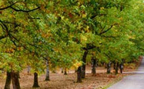 �羰������300����ƪ