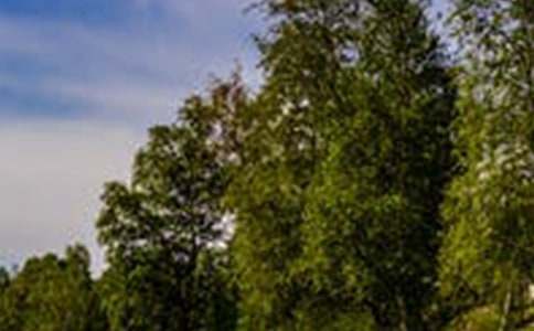 关于风景名胜的写景作文三篇