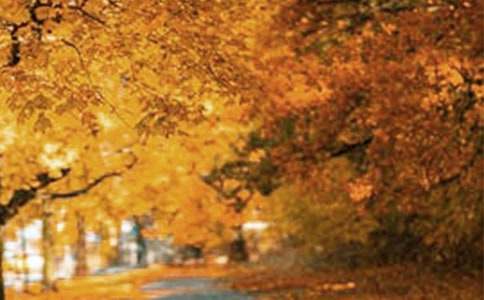 ���ر����羰���꼶���Ļ��10ƪ