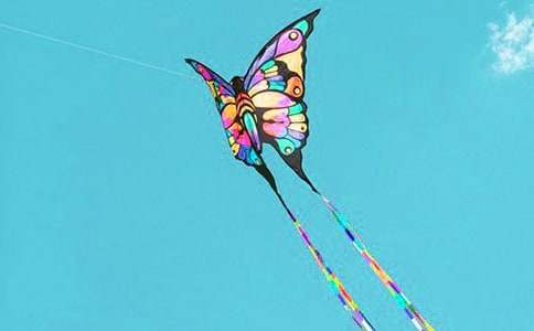 �ŷ��ݵ��ռ�(���15ƪ)