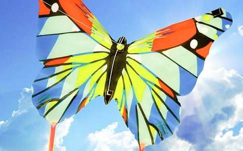 �ŷ������꼶����ͨ��15ƪ