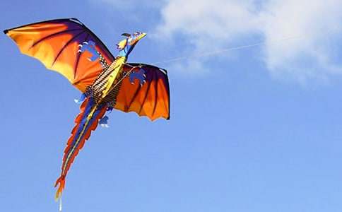 �ŷ������꼶���ļ���15ƪ