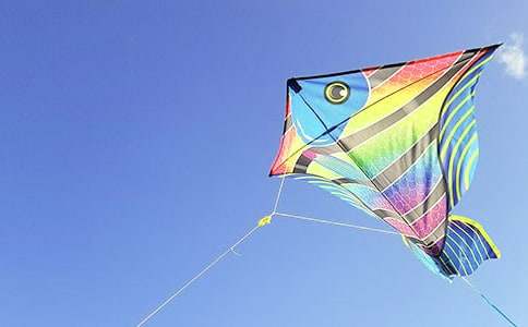 �ŷ����ռ�5ƪ�����㣩