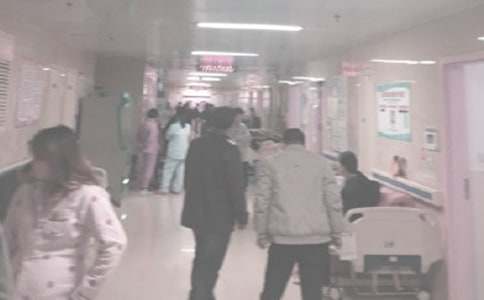 �����ƹ����ƻ�