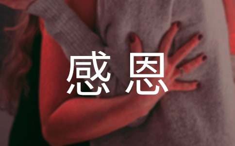 �ж��ĵ����(15ƪ)