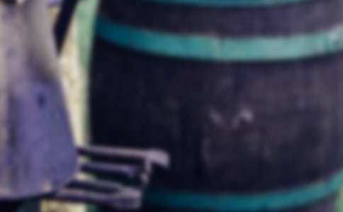 我有一颗钢铁的心作文800字