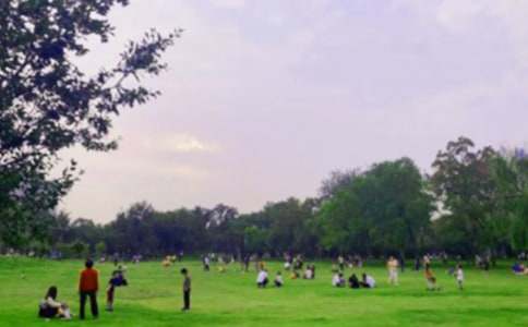 ʵ�õĹ�԰д�����ĺϼ���ƪ