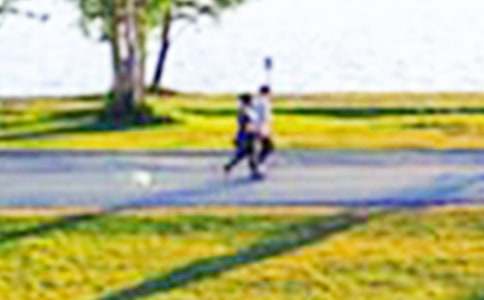 ��԰���μ�����(���15ƪ)