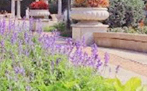 ���ر�����԰д�����ĺϼ�ʮƪ