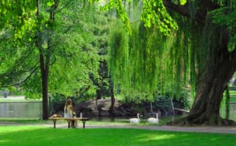 ���Ƽ�����԰�μ�����9ƪ