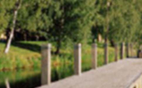 ����ѡ����԰д������300�ֻ��10ƪ